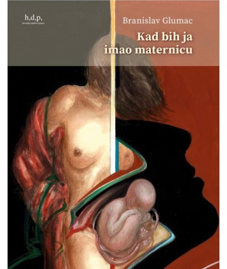 Kad bih ja imao maternicu