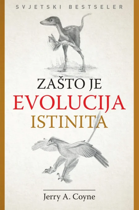 Zašto je evolucija isinita