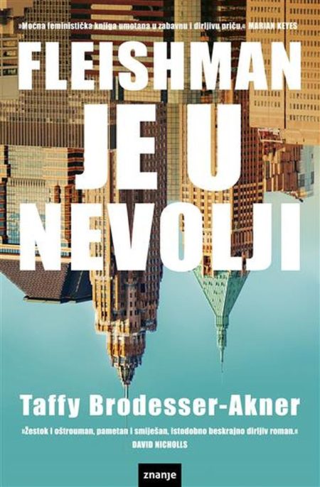 Fleishman je u nevolji
