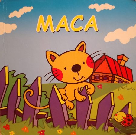 Maca