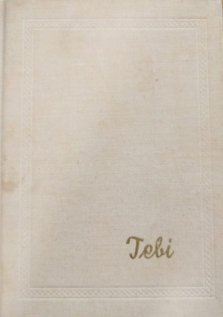 Tebi