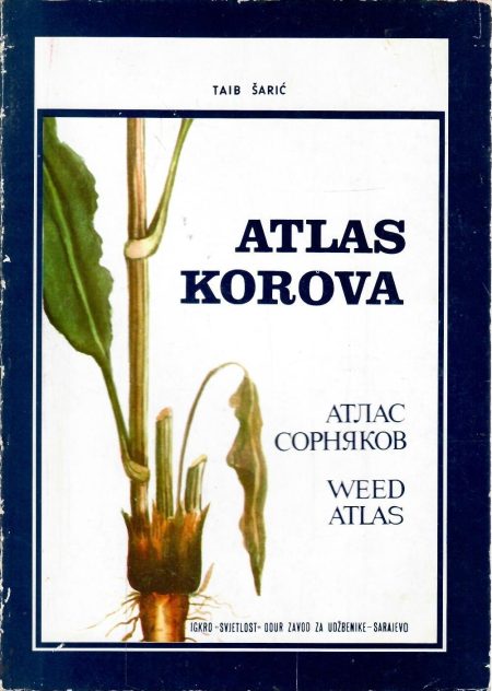 Atlas korova