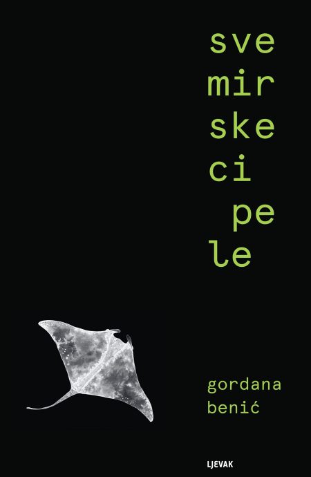 Svemirske cipele